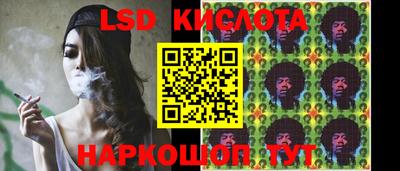 Альфа ПВП Дмитров