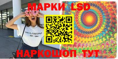 Альфа ПВП Дмитров