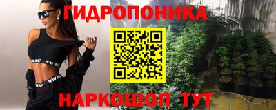 Альфа ПВП Дмитров