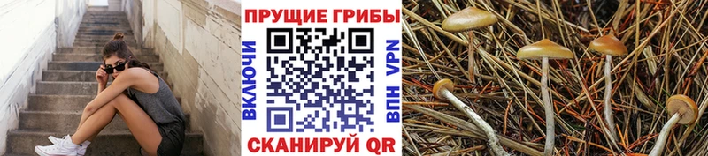 Псилоцибиновые грибы прущие грибы Евпатория