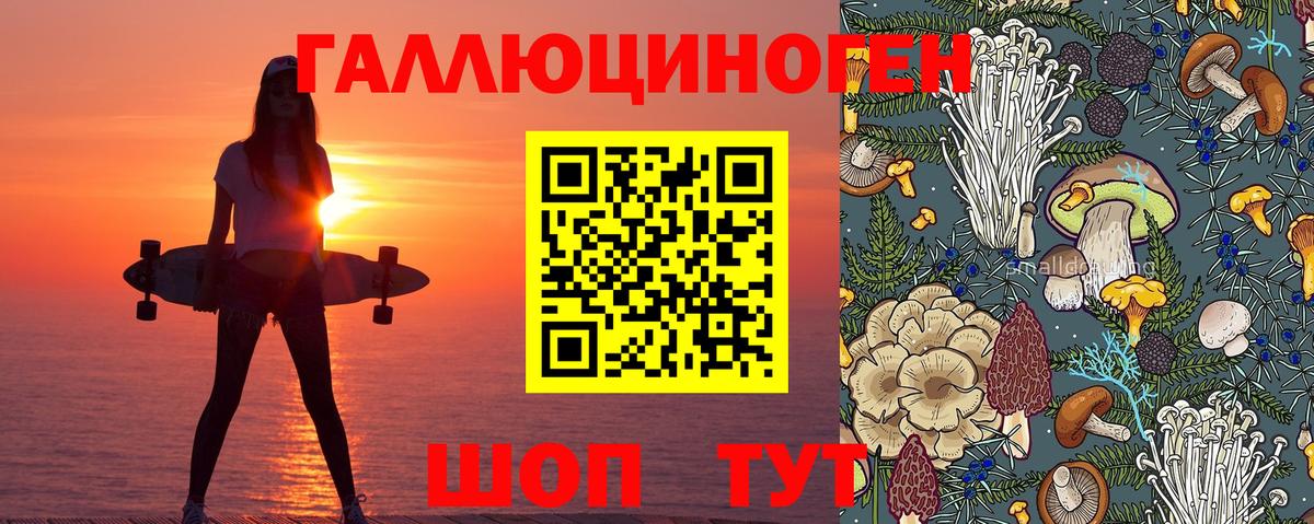 хочу   Галлюциногенные грибы MAGIC MUSHROOMS  Вход с VPN  Евпатория 