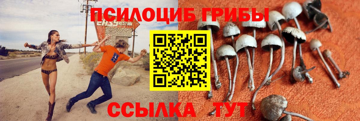 Псилоцибиновые грибы Cubensis Евпатория